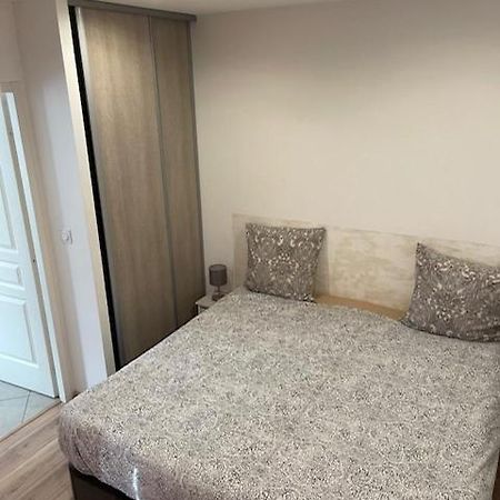 Appartement Oasis Proche De Lyon Groupama Lcdl Meyzieu Exteriör bild