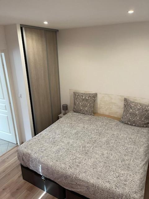 Appartement Oasis Proche De Lyon Groupama Lcdl Meyzieu Exteriör bild
